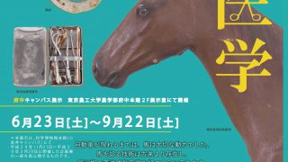 赤本　東京農工大学　2007年～2019年 13年分 東京農工大学 (2024年版大学入試シリーズ) | 教学社編集部 |本